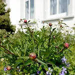 Fuer 8 Personen Mit Kamin & Terrasse וילה