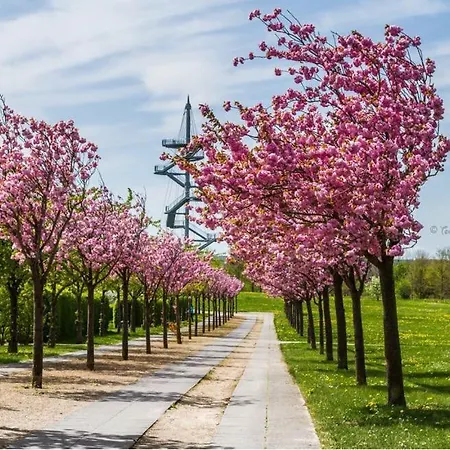 Für 8 Personen Mit Kamin&terrasse *