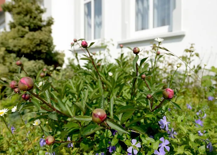 Für 8 Personen Mit Kamin&terrasse Villa